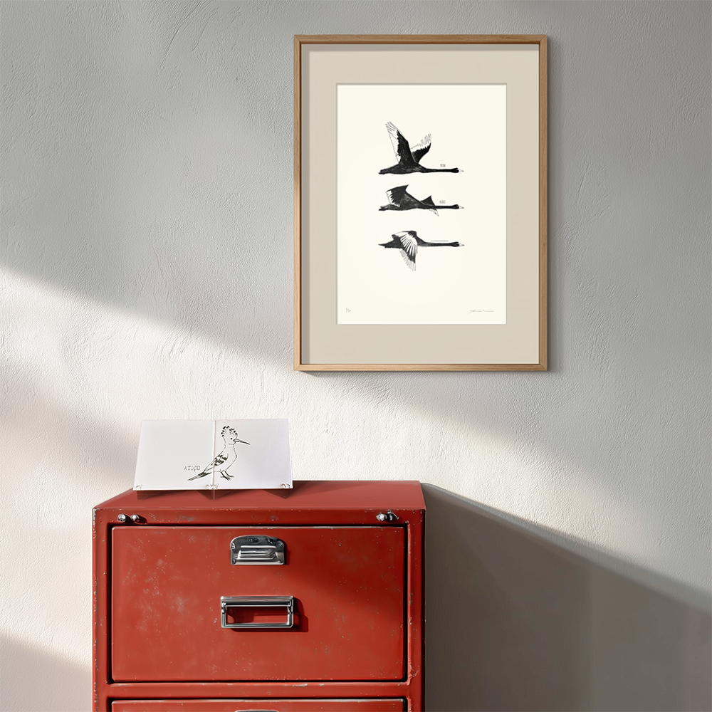 "Sim / Não / ______"